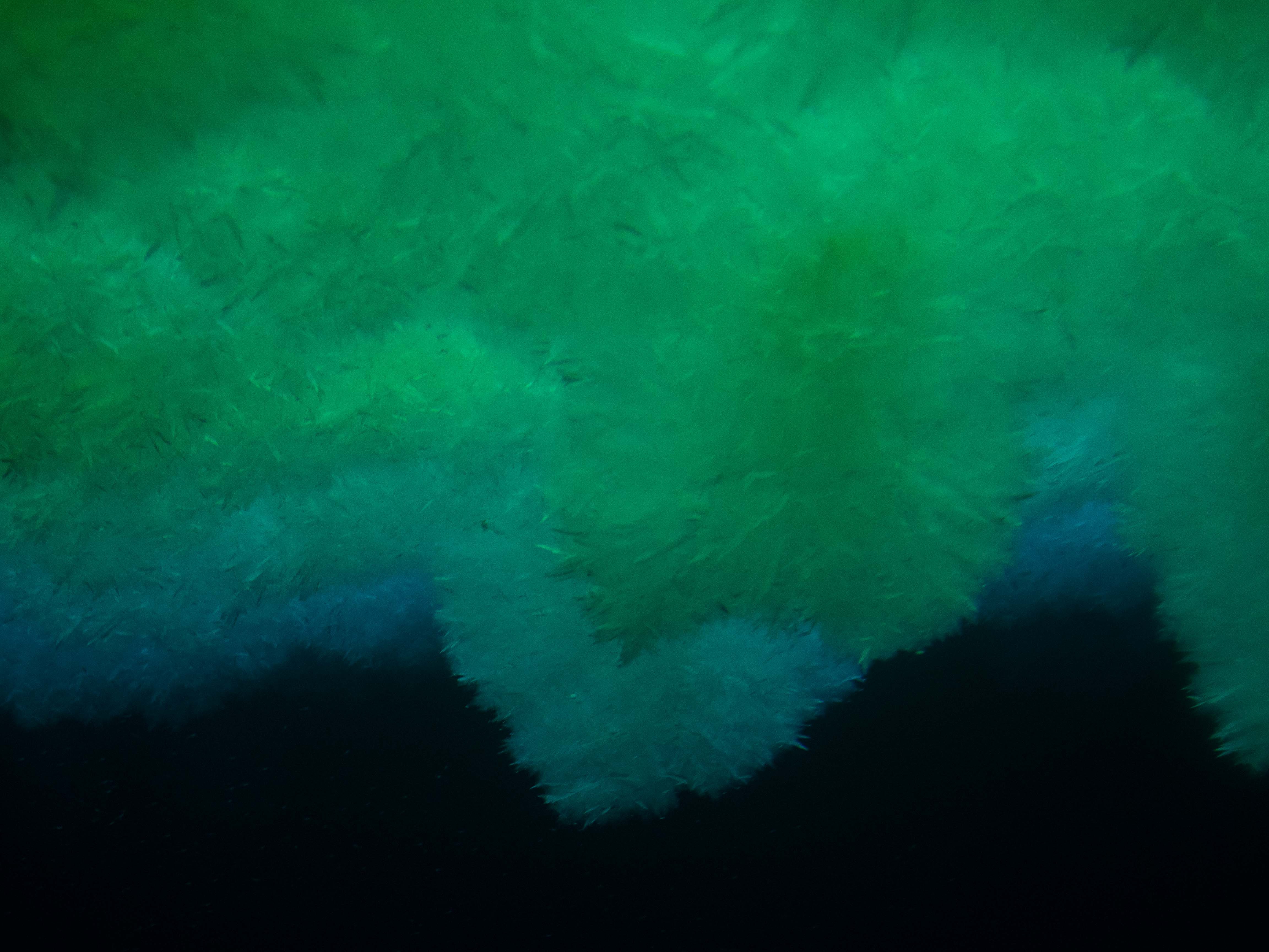 Underneath of the sea ice