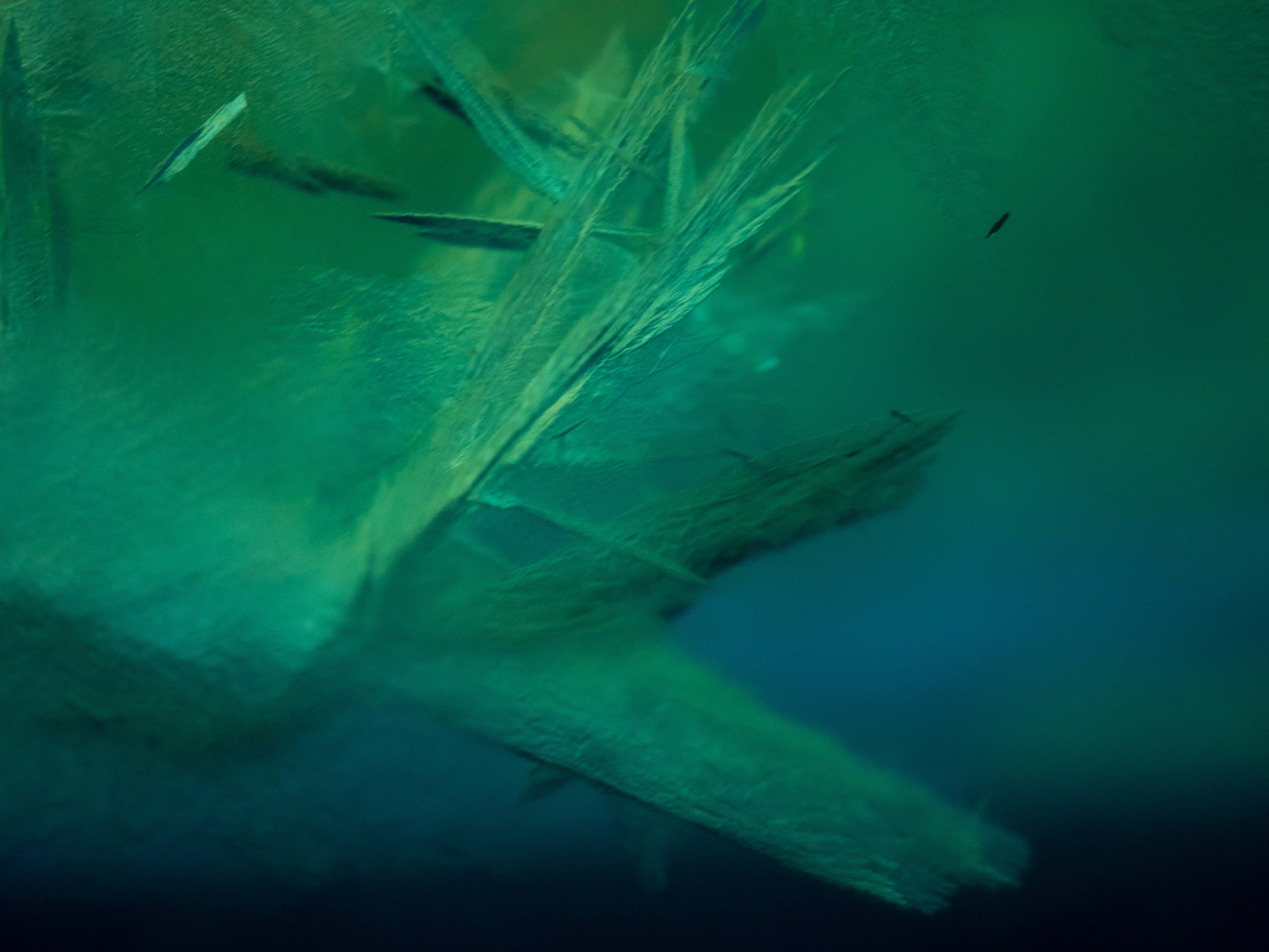 Sea ice crystals from inside the observation tube