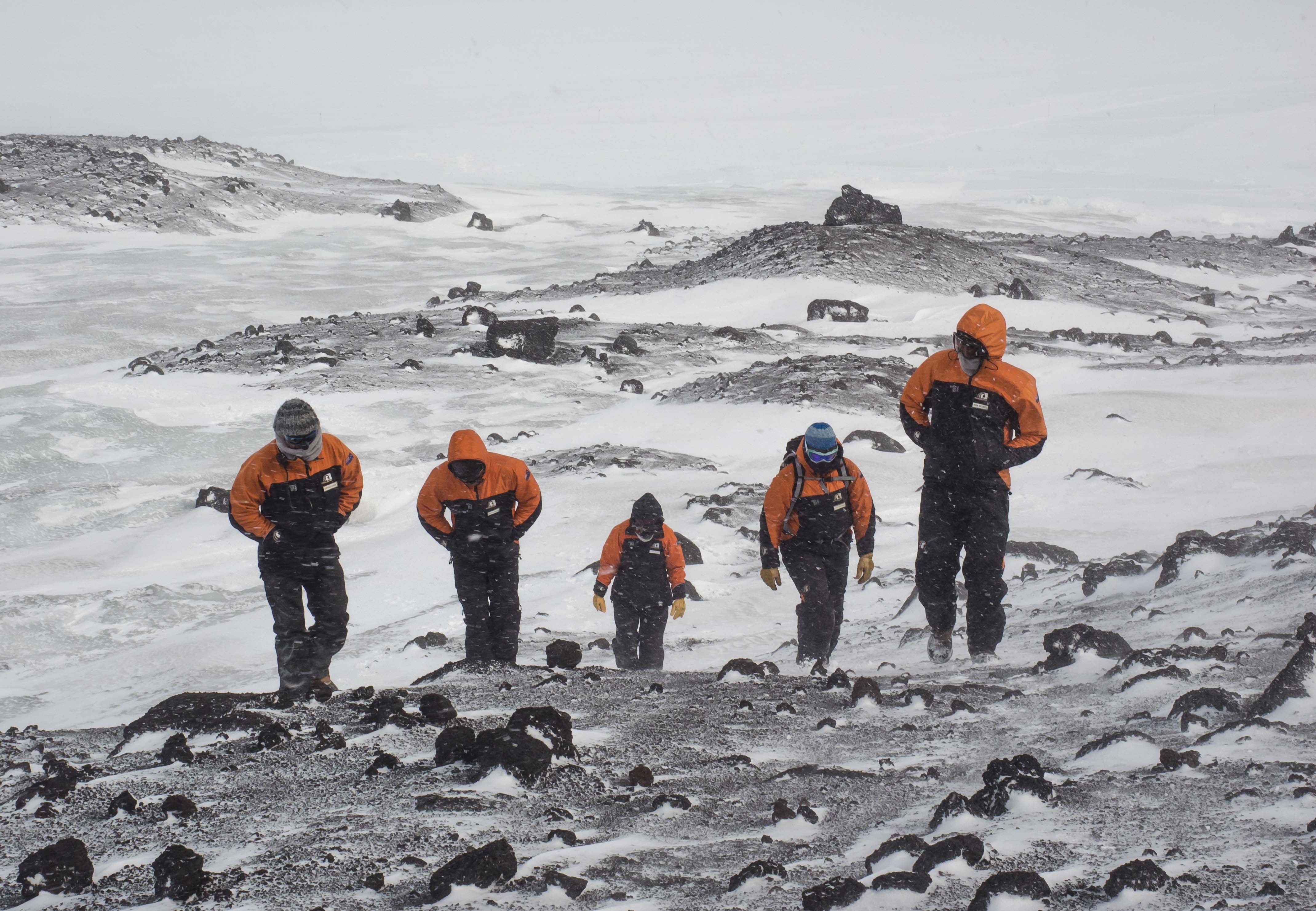 Casual stroll in a blizzard