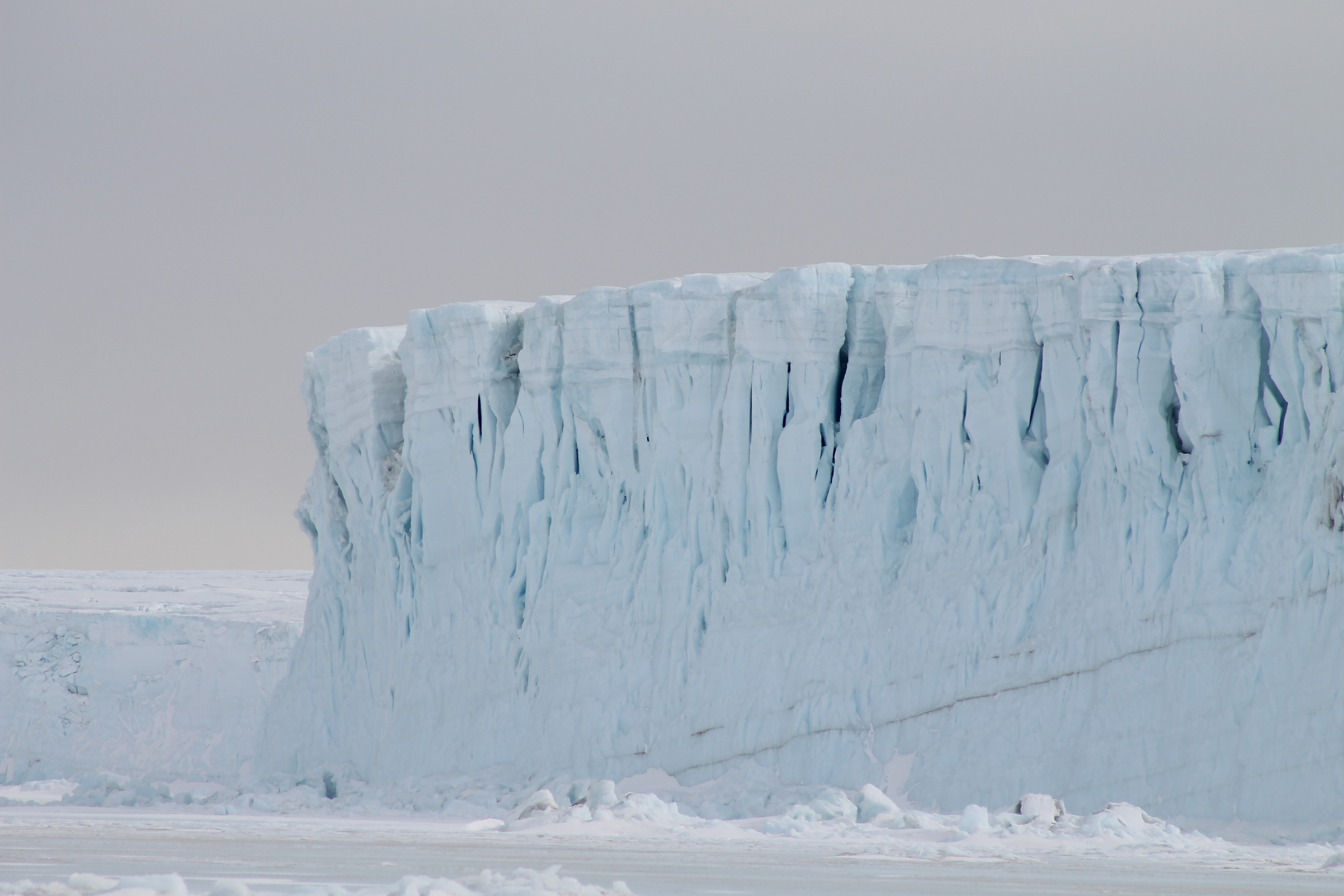 Up close and personal with the Barne Glacier