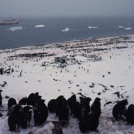 Adelies and Nordensjold's 1903 Stone Hut.