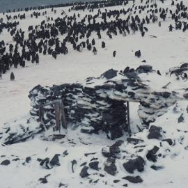 Nordenskjold's 1903 winter hut