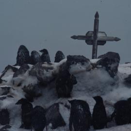Grave near Nordenskjold's Hut