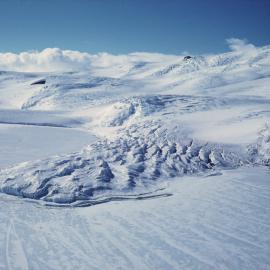 Glacier
