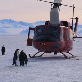 Emperor Penguins Inspect Helicopter