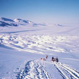 Descending Traverse of Axel Heiberg Glacier