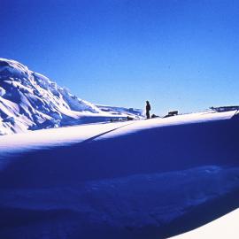 Axel Heiberg Glacier