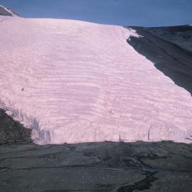 Bartley Glacier (aerial)