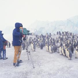 Emperor Penguins and TVNZ Documentary Team