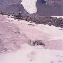 Rhone Glacier- Taylor Valley