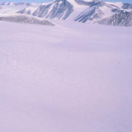 Wilson Piedmont Glacier
