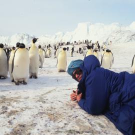 Emperor Penguins and Max Quinn