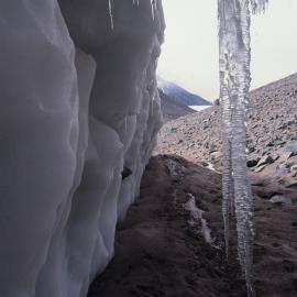 Suess Glacier- icicles