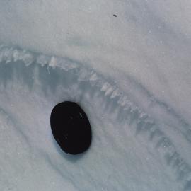 Snow feathers on windward edge of sastrugi, north side summit ridge of Shapeless Mountain.