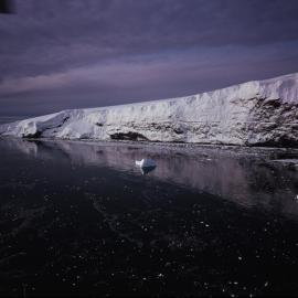 Borradaile Island, Balleny Group