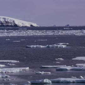 Borradaile Island, Balleny Group