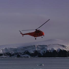 Young Island, Balleny Group