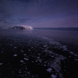 Borradaile Island, Balleny Group