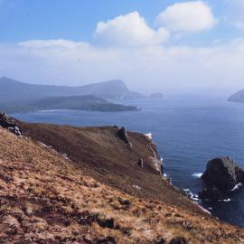 View on north west coast of Campbell Island