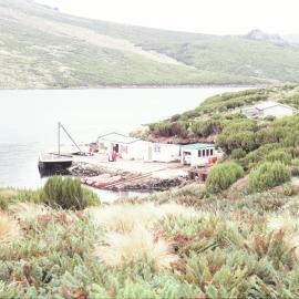 Campbell Island jetty