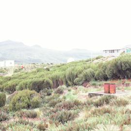 Out building of Campbell Island base