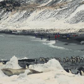Foyn Island beach. Frontier Spirit