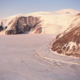 Seals of Razorback Island, Turks head behind