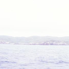 Northern coast, Snares Island