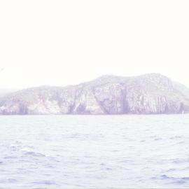 Northern coast, Snares Island