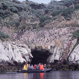 Zodiac Cruise, Ex Lindblad Explorer, Hotto Bay, Snares Island