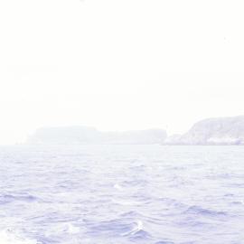 Northern coast, Snares Island