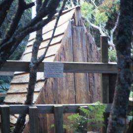 Castaway Hut, Enderby Island
