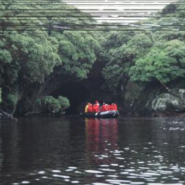 Zodiac cruising, Snares Island