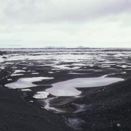 Algae pools, Bratina Island
