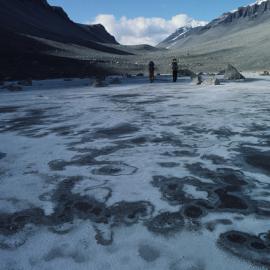 Dry midsummer Don Juan Pond