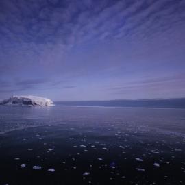 Borradaile Island, Balleny Group