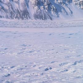 Priestley Glacier, Terra Nova