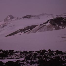 Dromedary across Pipecleaner