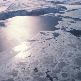 Northern Foothills, Terra Nova