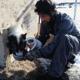 Bill Whitely with Vaska and one of Her Pups