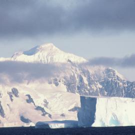 Tower Hill - Trinity Island 