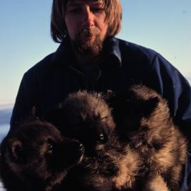 Bill Eaton with and Armfull of Husky Pups