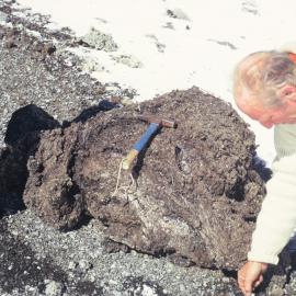 Lava Bomb thrown out near camp 