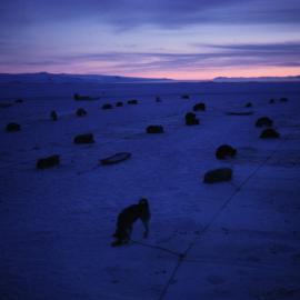 Doglines at Scott Base