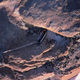 Lichen on Northern Foothills