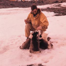 Feeding Husky Pups at Scott Base