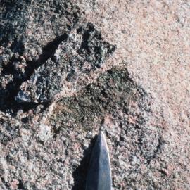 Sublithic Lichen - A Rock Flake has Been Removed