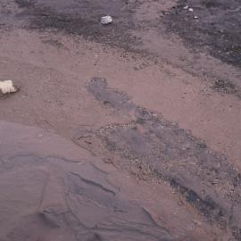 Algae mats, Bratina Island