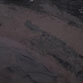 Algal Mats on Bratina Island