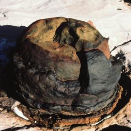 Ferrogenous Concretions